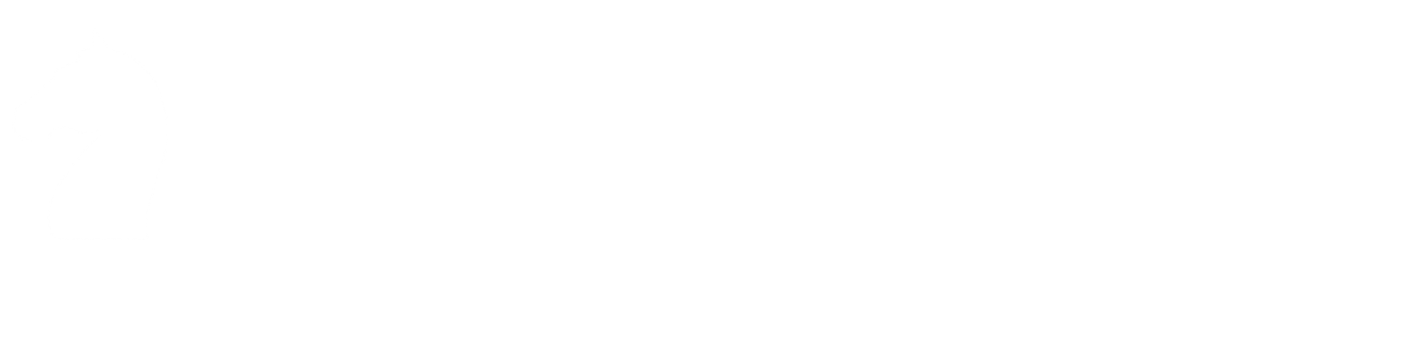 Anarchy - Clothing Store